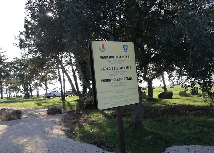 In Pore With Swimming Pool *