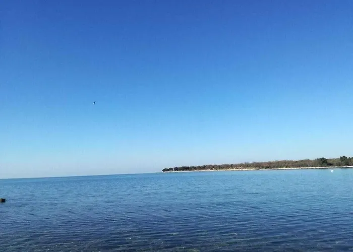 In Pore With Swimming Pool