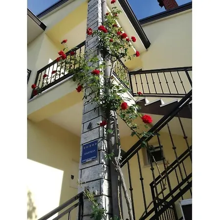 In Pore With Swimming Pool *