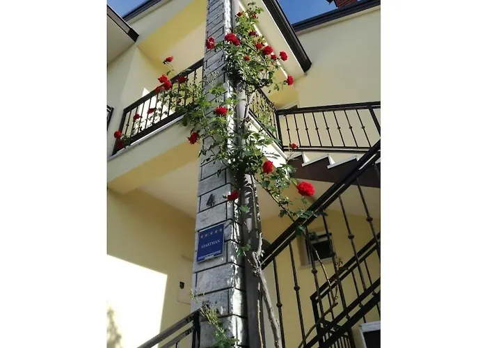 In Pore With Swimming Pool *